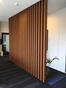 WOOD PLASTIC COMPOSITE COEXTRUSION STICKS TK61
