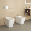 2051B - "FLoor toilet Rimless flush UF cover seat Shine white"