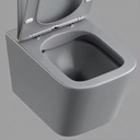 Inodoro Suspendido Rimless Asiento UF Matt Grey