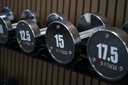 Mancuerna cromada con logo G-Fitness 17.5KG