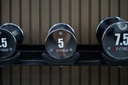 Mancuerna cromada con logo G-Fitness 5KG