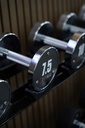 Mancuerna cromada con logo G-Fitness 7.5KG