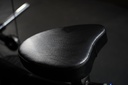 Máquina Curl de Biceps H-LINE